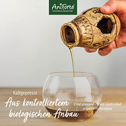 AniForte Ägyptisches BIO-Schwarzkümmelöl 500 ml- Naturprodukt für Hunde und Pferde - 2