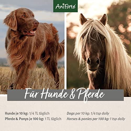 AniForte Ägyptisches BIO-Schwarzkümmelöl 500 ml- Naturprodukt für Hunde und Pferde - 4