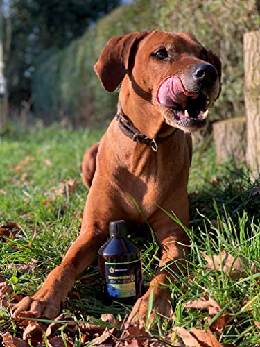 Schwarzkümmelöl 1000ml ungefiltert für Hunde *** mühlenfrisch direkt vom Hersteller Kräuterland Natur-Ölmühle *** 100% naturrein *** - 4