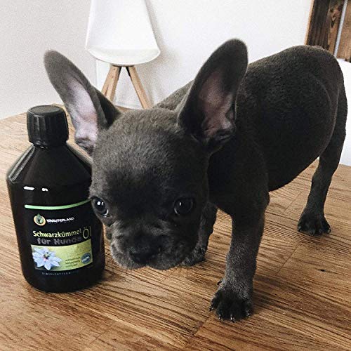 Schwarzkümmelöl 500ml ungefiltert für Hunde *** mühlenfrisch direkt vom Hersteller Kräuterland Natur-Ölmühle *** 100% naturrein *** - 5