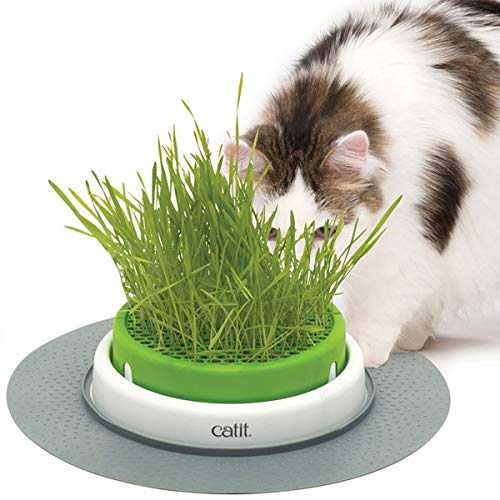 Catit Senses 2.0 Grastopf