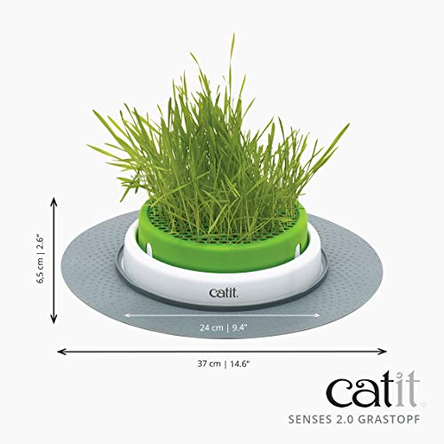 catit 43161W Senses 2.0 Grastopf - 7