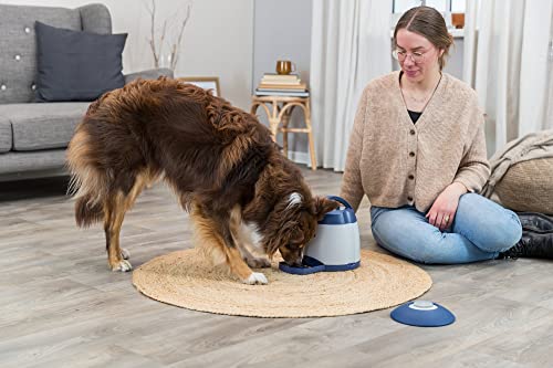 TRIXIE Hundespielzeug Intelligenz Dog Activity Strategie-Spiel - 7