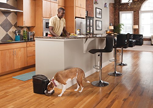 PetSafe Futterautomat, automatischer programmierbarer Futternapf mit Timer, Fressnapf, für Hunde und Katzen, 12 portionierbare Mahlzeiten, batteriebetrieben, digital, rutschfest - 2