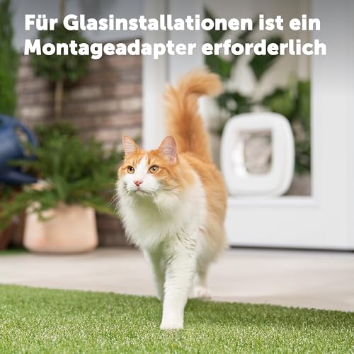 PetSafe Futterautomat, automatischer programmierbarer Futternapf mit Timer - 4