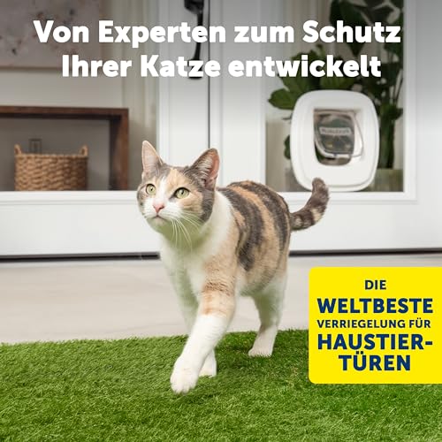 PetSafe Futterautomat, automatischer programmierbarer Futternapf mit Timer - 6