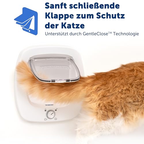 PetSafe Futterautomat, automatischer programmierbarer Futternapf mit Timer - 7