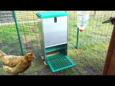 Futterautomat Feedomatic 5kg mit Trittplatte für 5kg Futter, Geflügel-Futterautomat, Hühnertrog, Futtertrog - 2