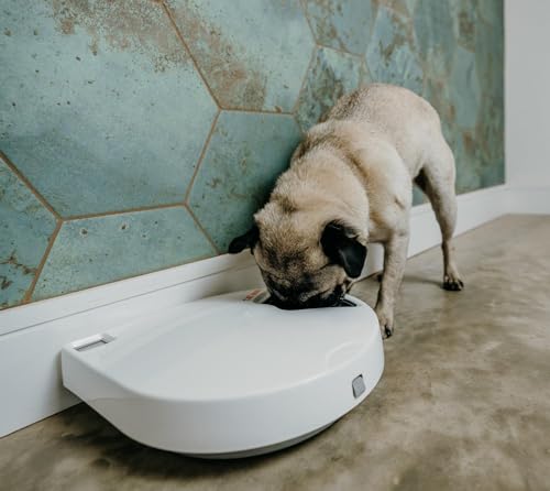 Cat Mate C500 Futterautomat mit Digital Timer - 10