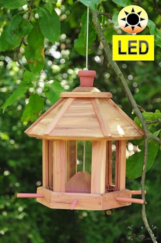 Futterhaus Vögel, ZedernHolz - MIT Beleuchtung,LED-Licht / Vogelhaus & Futterstation,wetterfest NATUR HOLZ,BEL-natur groß, PREMIUM