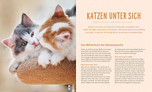 Katzensprache: Kätzisch für Zweibeiner - 3
