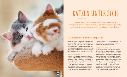 Katzensprache: Kätzisch für Zweibeiner - 8