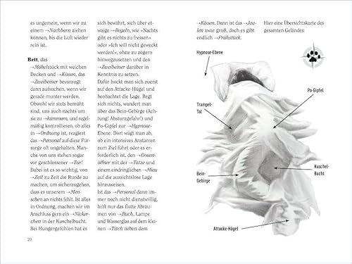 Wie wir Katzen die Welt sehen: Ein Ratgeber für meine liebsten Zweibeiner (insel taschenbuch) - 2