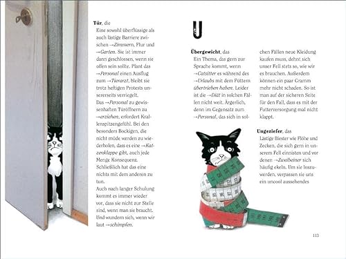 Wie wir Katzen die Welt sehen: Ein Ratgeber für meine liebsten Zweibeiner (insel taschenbuch) - 3