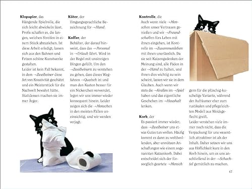 Wie wir Katzen die Welt sehen: Ein Ratgeber für meine liebsten Zweibeiner (insel taschenbuch) - 5