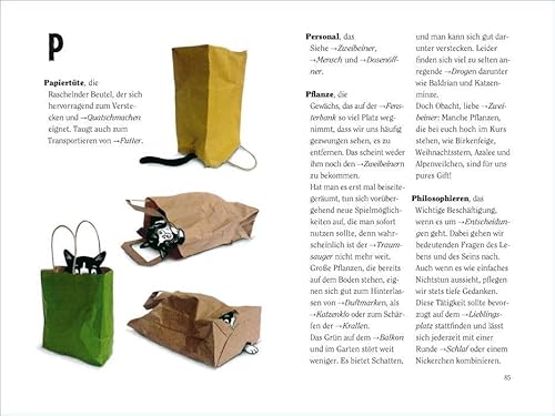 Wie wir Katzen die Welt sehen: Ein Ratgeber für meine liebsten Zweibeiner (insel taschenbuch) - 6