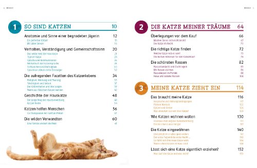 Praxishandbuch Katzen - 12