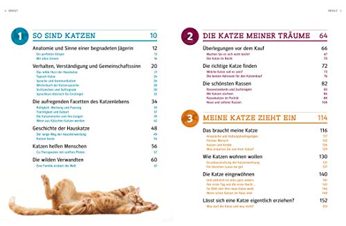 Praxishandbuch Katzen - 3