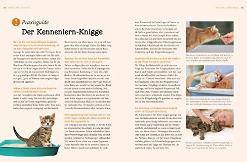 Praxishandbuch Katzen - 9