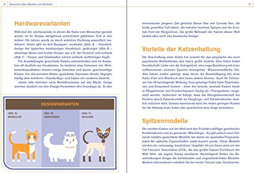Katze – Betriebsanleitung: Intriebnahme, Wartung und Instandhaltung - 3