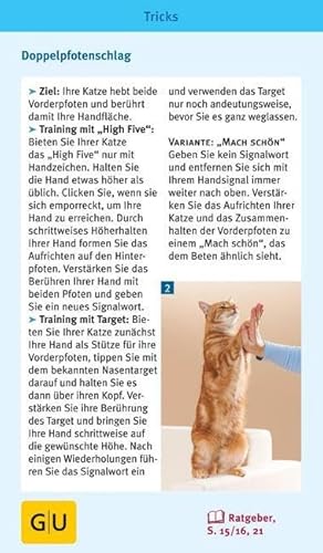 Katzen-Clicker-Box: Plus Clicker für  sofortigen Spielspaß (GU Tier-Box) - 16