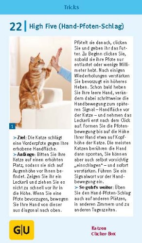 Katzen-Clicker-Box: Plus Clicker für  sofortigen Spielspaß (GU Tier-Box) - 19