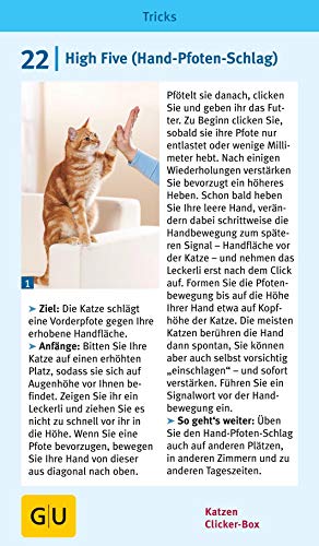 Katzen-Clicker-Box: Plus Clicker für  sofortigen Spielspaß (GU Tier-Box) - 8