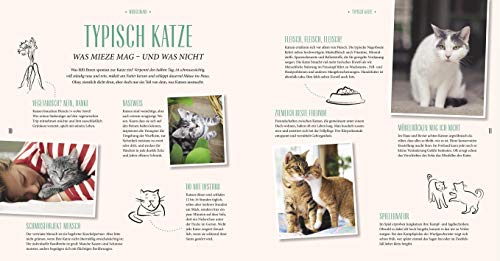 Katzen-Basics: Alles, was Katzenhalter wissen müssen (GU Tier Spezial) - 5