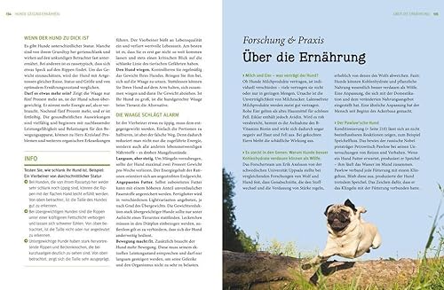 Hunde. Das grosse Praxishandbuch - 11