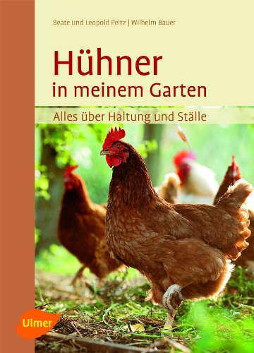 Hühner in meinem Garten – Alles über Haltung & Ställe