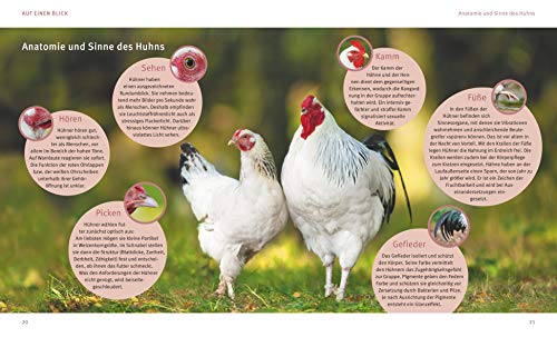 Hühner halten: Das Rundum-Sorglos-Paket (GU Tierratgeber) - 5