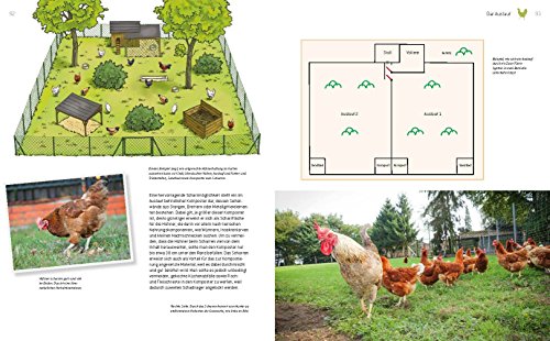 Das große Buch der Hühnerhaltung im eigenen Garten - 5