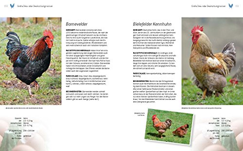 Das große Buch der Hühnerhaltung im eigenen Garten - 6