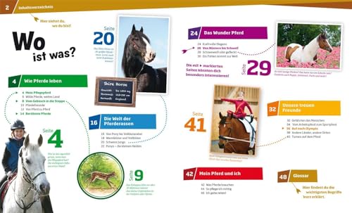 WAS IST WAS Band 27 Pferde. Von frechen Fohlen und wilden Mustangs (WAS IST WAS Sachbuch, Band 27) - 3
