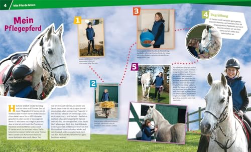 WAS IST WAS Band 27 Pferde. Von frechen Fohlen und wilden Mustangs (WAS IST WAS Sachbuch, Band 27) - 5