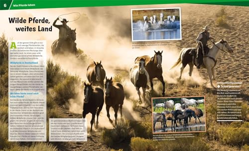 WAS IST WAS Band 27 Pferde. Von frechen Fohlen und wilden Mustangs (WAS IST WAS Sachbuch, Band 27) - 6