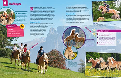 WAS IST WAS Pferde und Ponys: Reiten, Zucht und Pferdesprache (WAS IST WAS Edition) - 20