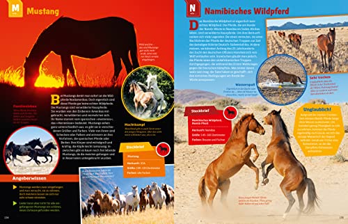 WAS IST WAS Pferde und Ponys: Reiten, Zucht und Pferdesprache (WAS IST WAS Edition) - 22