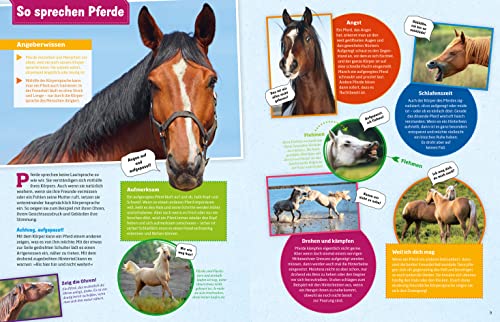 WAS IST WAS Pferde und Ponys: Reiten, Zucht und Pferdesprache (WAS IST WAS Edition) - 5