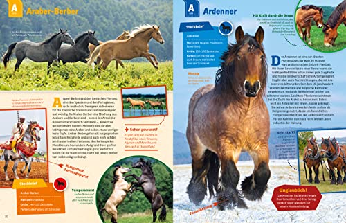 WAS IST WAS Pferde und Ponys: Reiten, Zucht und Pferdesprache (WAS IST WAS Edition) - 9