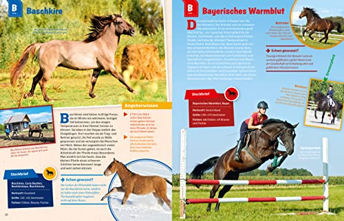 WAS IST WAS Pferde und Ponys: Reiten, Zucht und Pferdesprache (WAS IST WAS Edition) - 13
