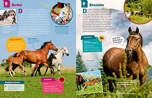 WAS IST WAS Pferde und Ponys: Reiten, Zucht und Pferdesprache (WAS IST WAS Edition) - 15