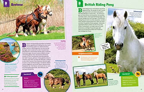 WAS IST WAS Pferde und Ponys: Reiten, Zucht und Pferdesprache (WAS IST WAS Edition) - 16