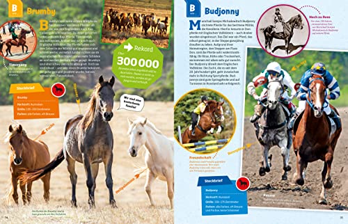 WAS IST WAS Pferde und Ponys: Reiten, Zucht und Pferdesprache (WAS IST WAS Edition) - 17