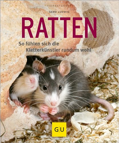 Ratten: So fühlen sich die Kletterkünstler rundum wohl (GU Tierratgeber)