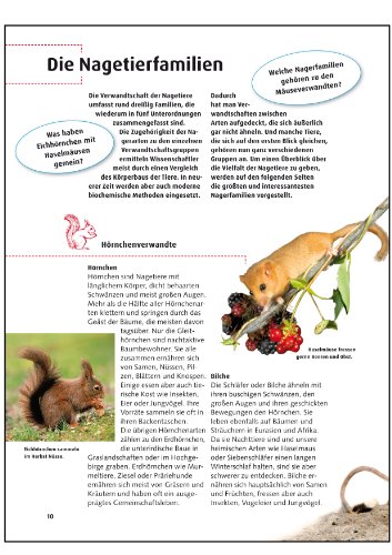 Was ist was, Band 128: Hamster, Biber und andere Nagetiere - 6