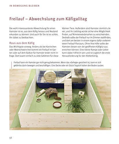 Hamster: Pflege-Einmaleins für kleine Solokünstler (GU Tierratgeber) - 13