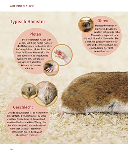 Hamster: Pflege-Einmaleins für kleine Solokünstler (GU Tierratgeber) - 5