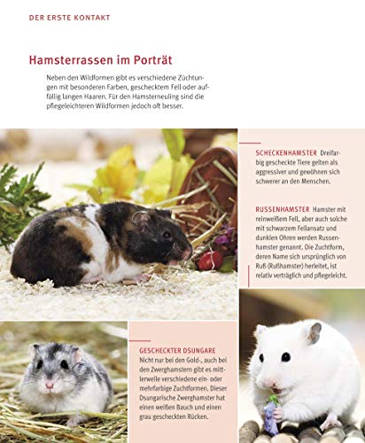 Hamster: Pflege-Einmaleins für kleine Solokünstler (GU Tierratgeber) - 7