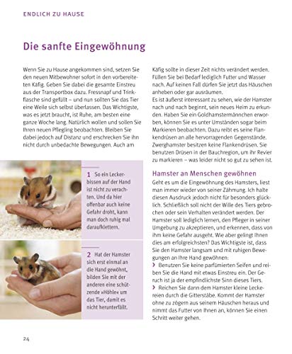 Hamster: Pflege-Einmaleins für kleine Solokünstler (GU Tierratgeber) - 9